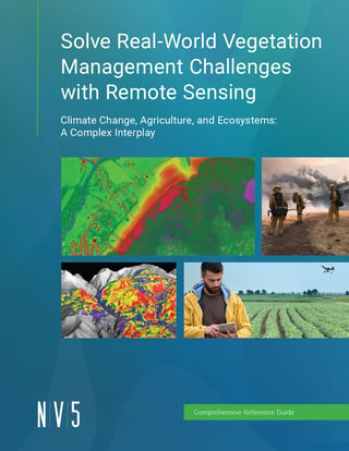 Solve Real-World Vegetation Management Challenges with Remote Sensing Guide
