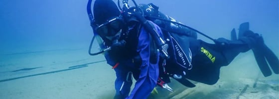 Marine Taxonomic Services, Ltd. (MTS)