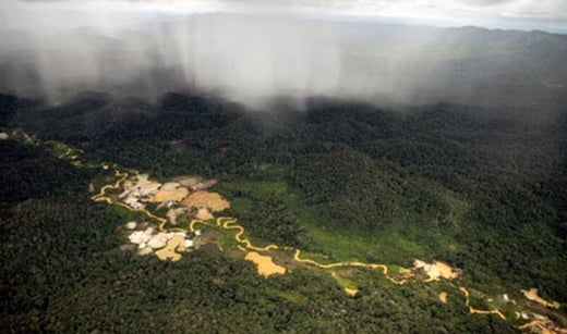Illegal Mining Activity in the Brazilian Amazon